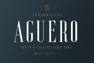 Aguero Serif: Elevate Brand Identity with Transitional Elegance