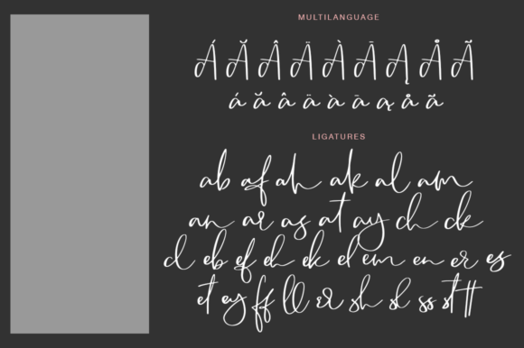 Camsay: The Handmade Script Font for Authentic Brand Identity