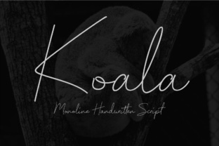 Koala Script Typeface Review for Social Media Campaigns