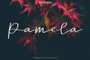 Pamela Script: The Elegant Handwritten Typeface for Chic Branding