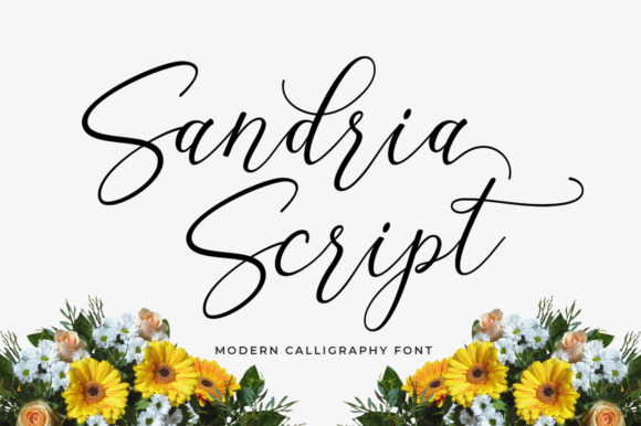 Sandria Script: The Elegant Handwritten Typeface for Boutique Branding
