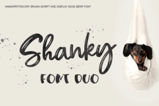 Shanky Typeface Review: Script and Sans for Campaign Design