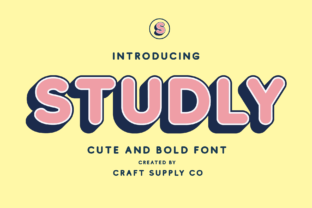 Studly Family: Bold Sans Serif Fonts for High-Impact Web Design
