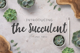The Succulent Trio: A Feminine Script Handwritten Font for Modern Branding