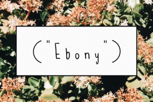 Upgrade Your Brand Identity With The Ebony Handwritten Font